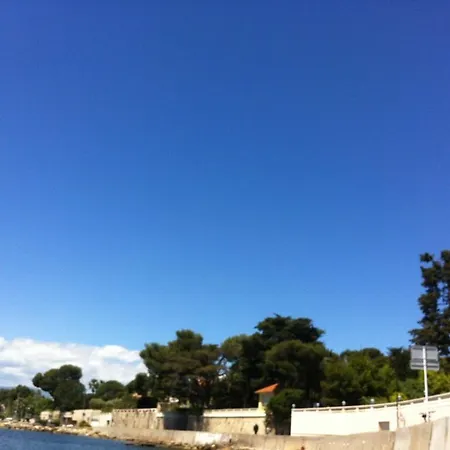 Les Palmiers Apartment