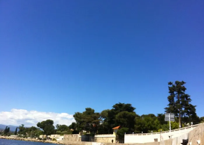 Les Palmiers Appartamento